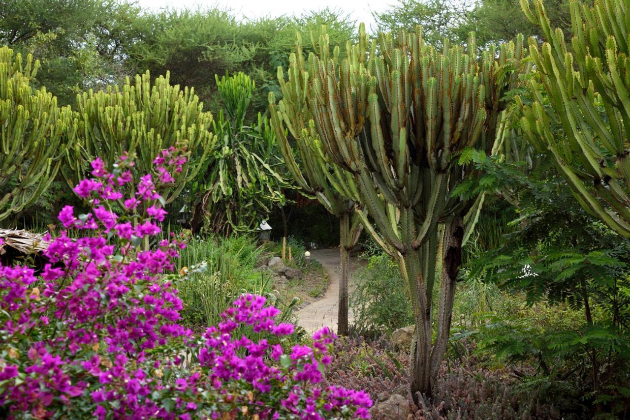 Kia Lodge Arusha Luaran gambar